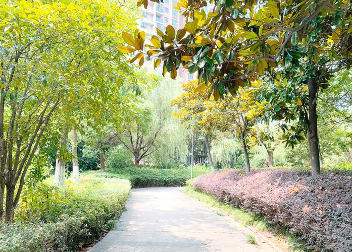 城市园林绿化三级资质标准是什么? 城市园林绿化三级资质标准是什么?